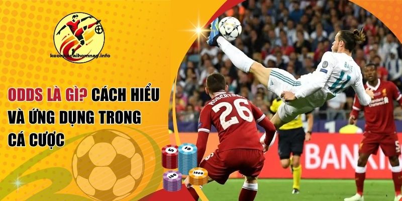 odds là gì